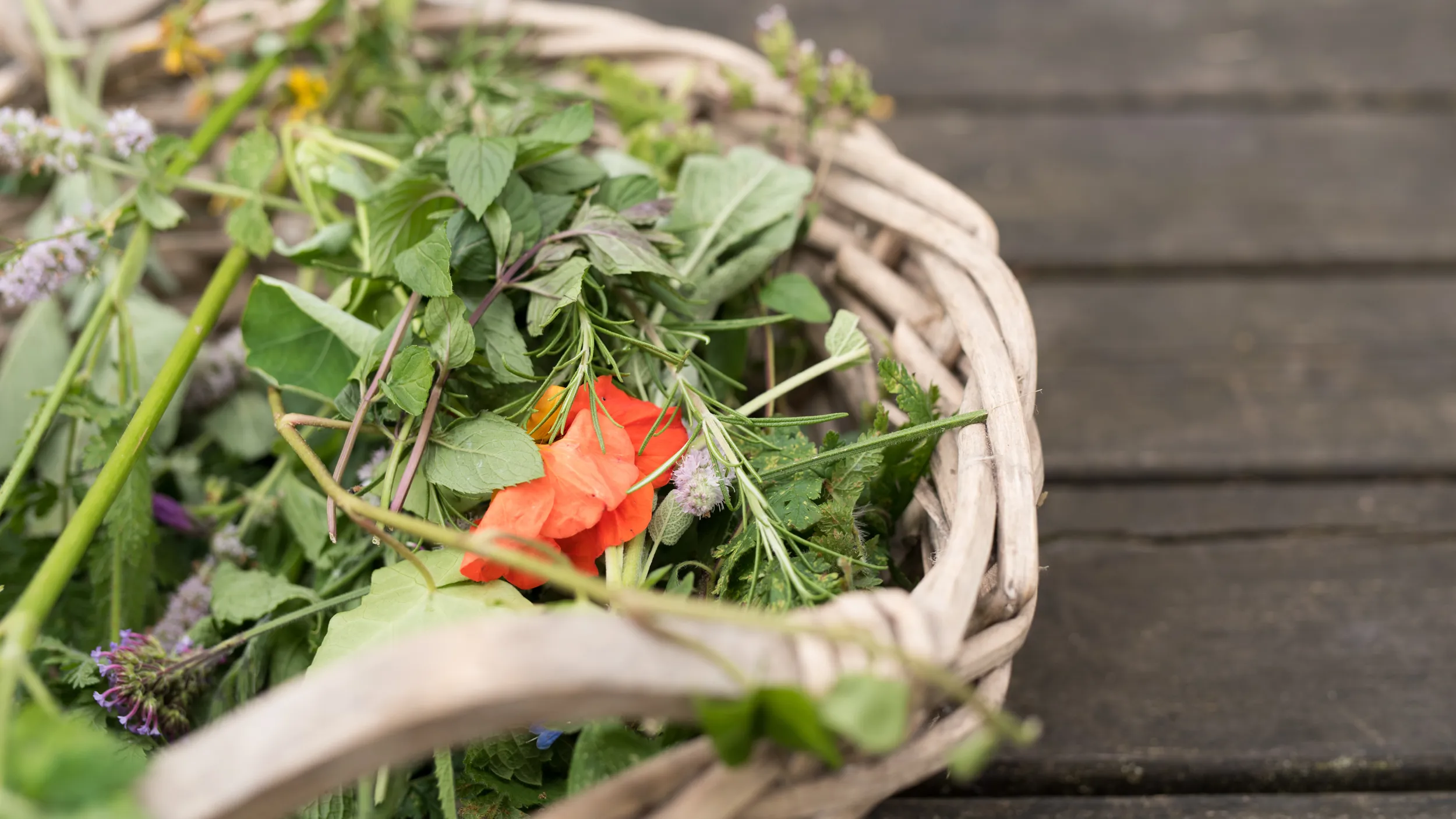 Verschiedene Wildkräuter liegen in einem geflechteten Körbchen.