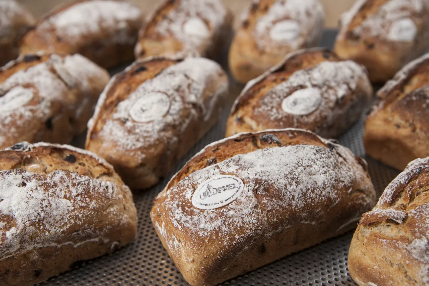 IG Dinkel 687535 432673 Brote