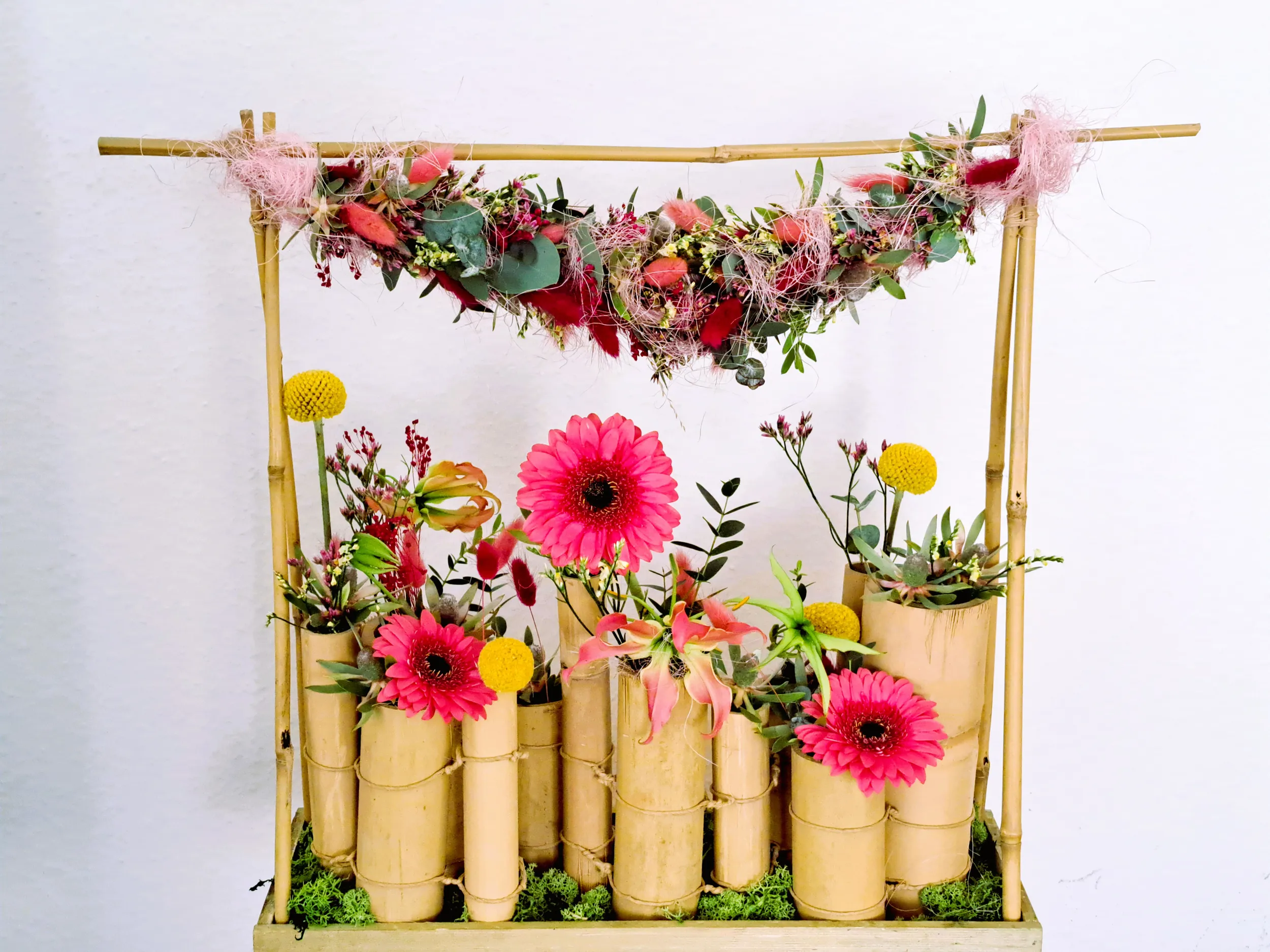 Sommer Susanne Meyer